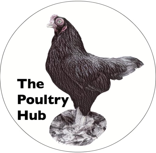Poultry Hub logo